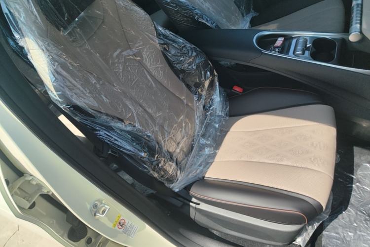 Used BYD Dolphin 2025 420km Free Edition Right Front Seat