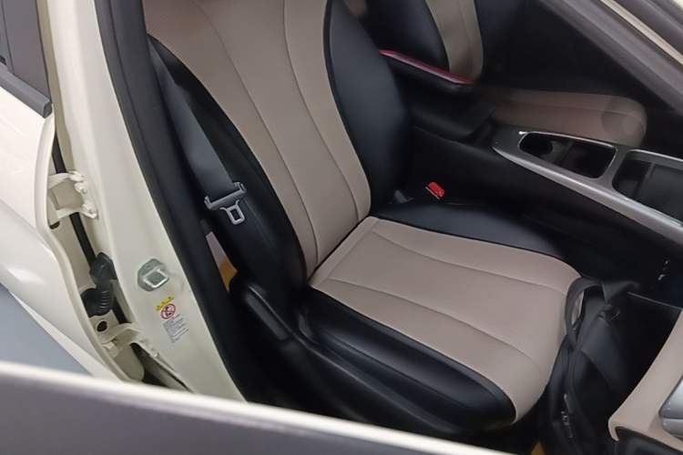 Used BYD Dolphin 2025 Smart Drive Version 420 km Freedom Edition Right Front Seat