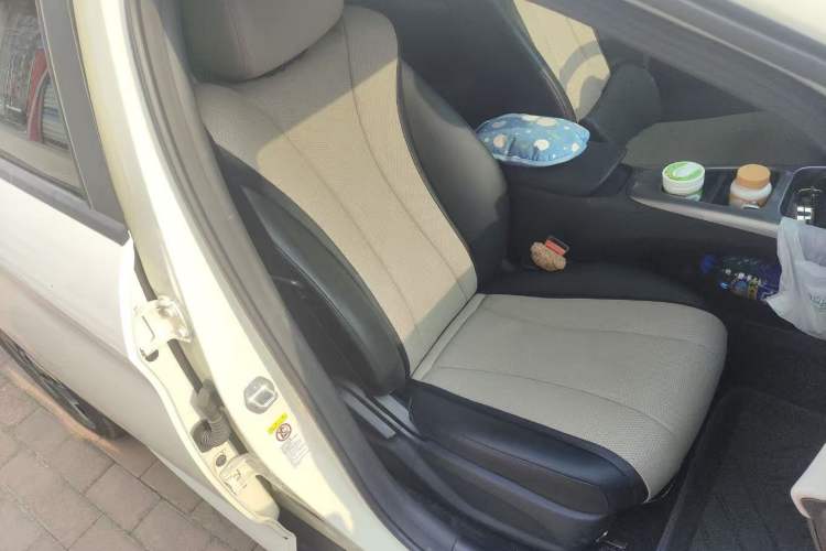 Used BYD Dolphin 2025 Smart Drive Version 420 km Freedom Edition Right Front Seat