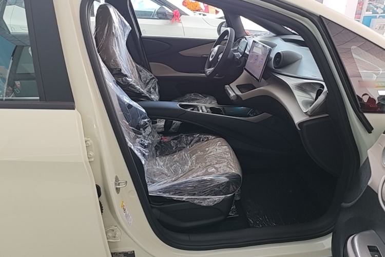 Used BYD Dolphin 2025 420km Free Edition Right Front Seat