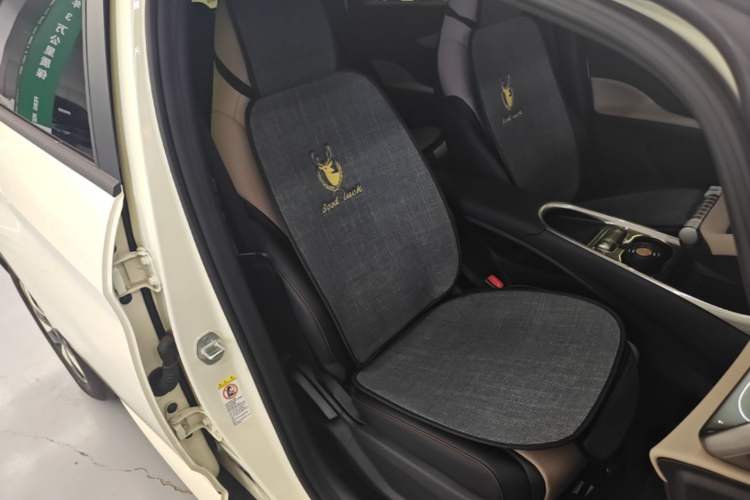 Used BYD Dolphin 2025 420km Free Edition Right Front Seat