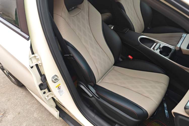 Used BYD Dolphin 2025 420km Free Edition Right Front Seat