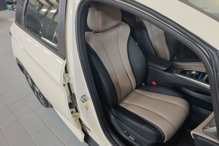 Used BYD Dolphin 2025 Intelligent Driving Version 410 km Fashion Edition Right Front Seat