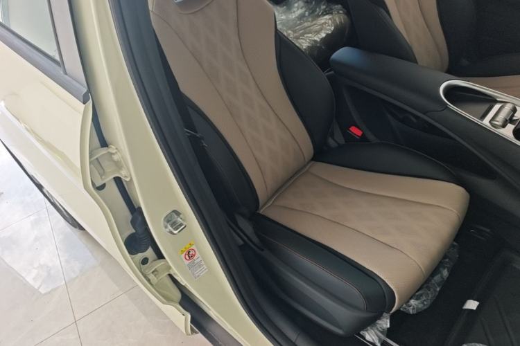 Used BYD Dolphin 2025 420km Free Edition Right Front Seat