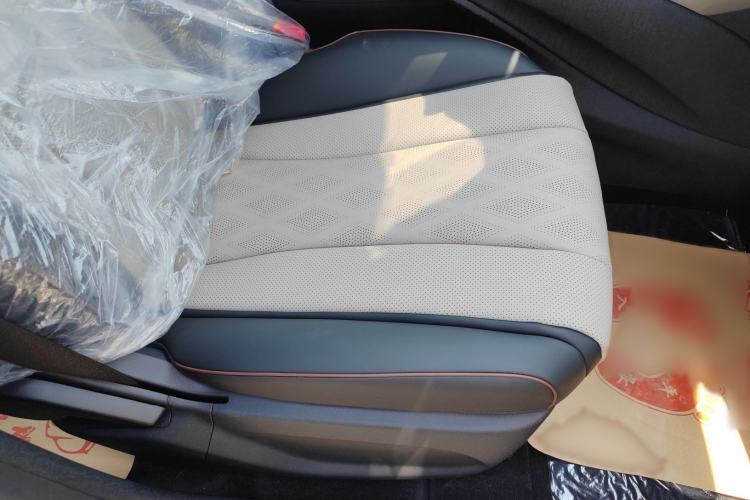 Used BYD Dolphin 2025 420km Free Edition Right Front Seat