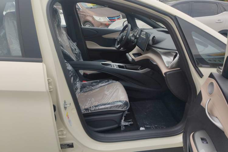 Used BYD Dolphin 2025 420km Free Edition Right Front Seat
