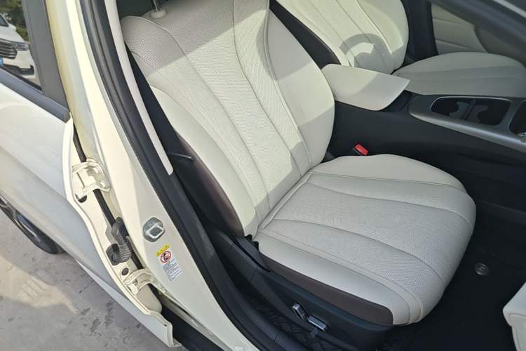 Used BYD Dolphin 2025 Intelligent Driving Version 410 km Fashion Edition Right Front Seat