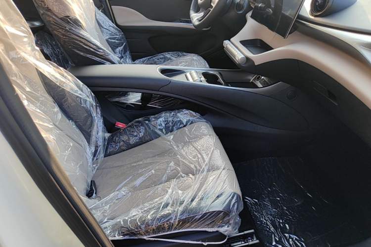 Used BYD Dolphin 2025 420km Free Edition Right Front Seat