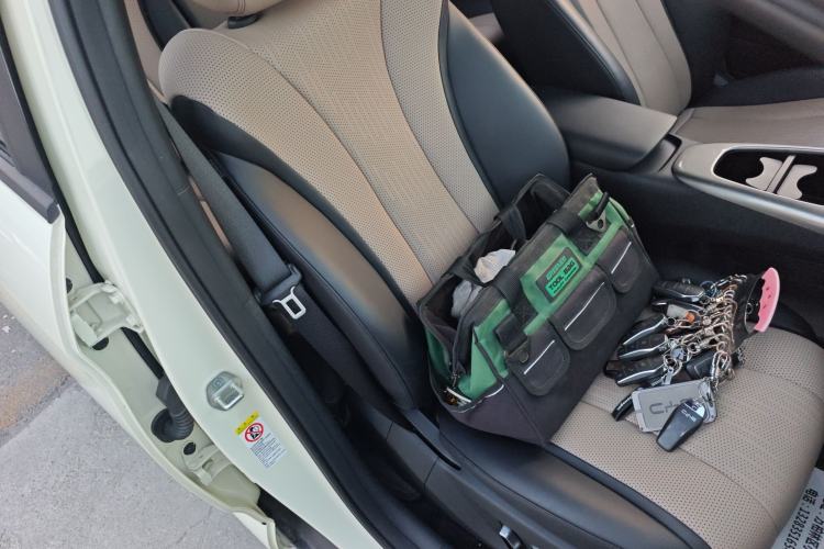 Used BYD Dolphin 2025 Intelligent Driving Version 410 km Fashion Edition Right Front Seat