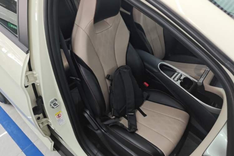Used BYD Dolphin 2025 420km Free Edition Right Front Seat