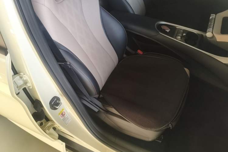 Used BYD Dolphin 2025 420km Free Edition Right Front Seat