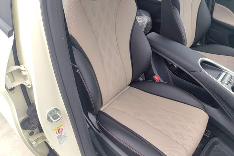 Used BYD Dolphin 2025 420km Free Edition Right Front Seat