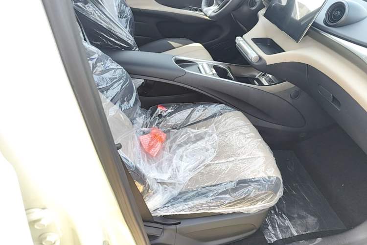 Used BYD Dolphin 2025 420km Free Edition Right Front Seat