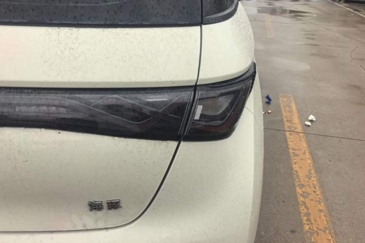 Used BYD Dolphin 2025 420km Active Version Right Rear Taillight