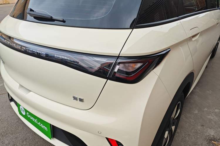Used BYD Dolphin 2025 420km Free Edition Right Rear Taillight