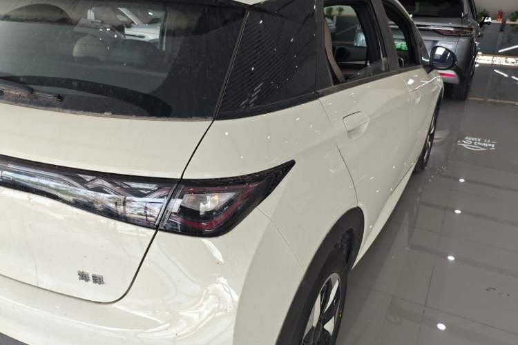 Used BYD Dolphin 2025 420km Free Edition Right Rear Taillight
