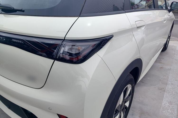 Used BYD Dolphin 2025 420km Free Edition Right Rear Taillight