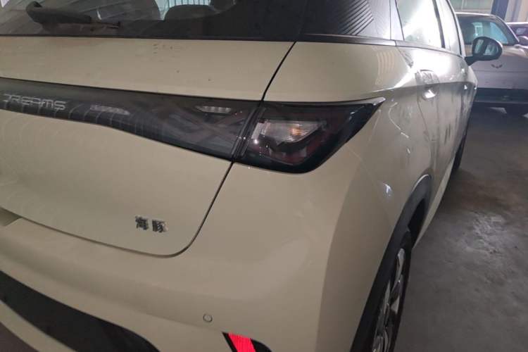 Used BYD Dolphin 2025 420km Free Edition Right Rear Taillight