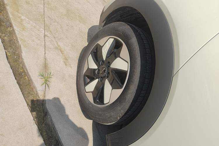 Used BYD Dolphin 2025 420km Free Edition Right Rear Wheel Hub