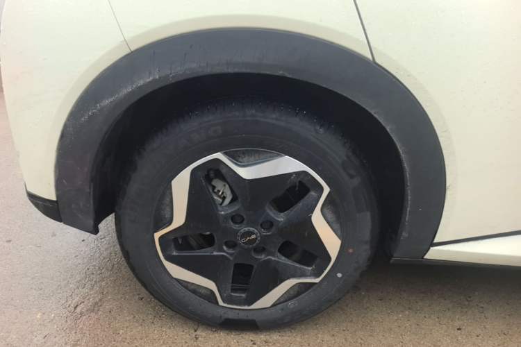 Used BYD Dolphin 2025 420km Active Version Right Rear Wheel Hub
