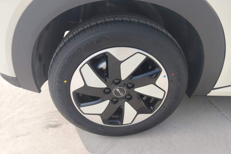 Used BYD Dolphin 2025 420km Free Edition Right Rear Wheel Hub