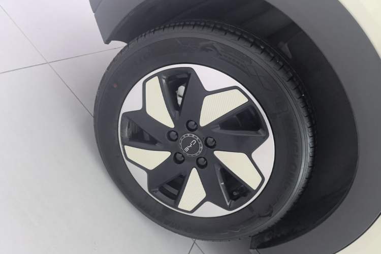 Used BYD Dolphin 2025 420km Free Edition Right Rear Wheel Hub