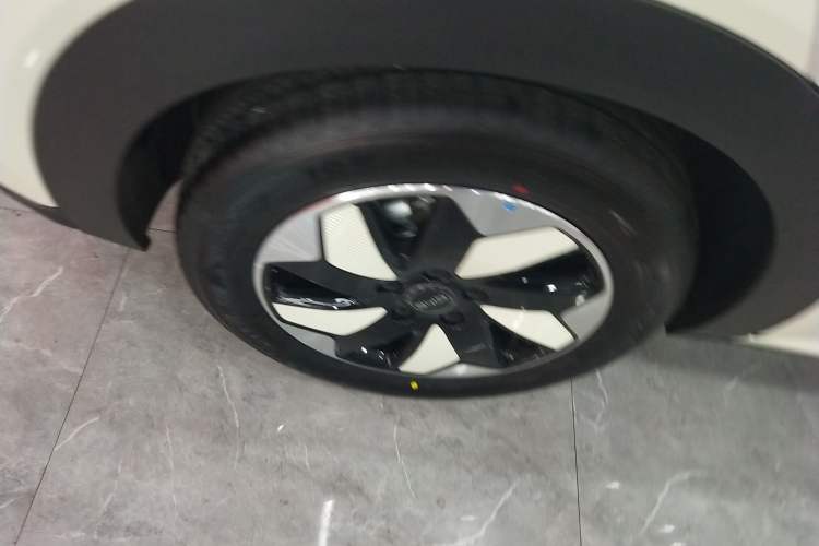 Used BYD Dolphin 2025 420km Free Edition Right Rear Wheel Hub