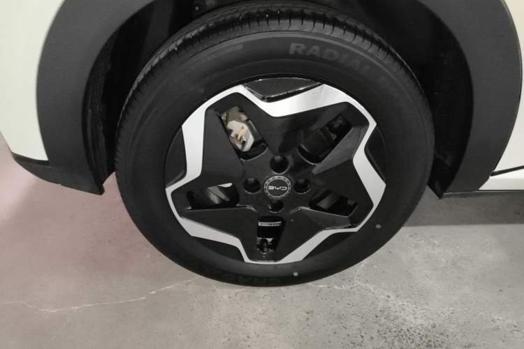 Used BYD Dolphin 2025 420km Active Version Right Rear Wheel Hub