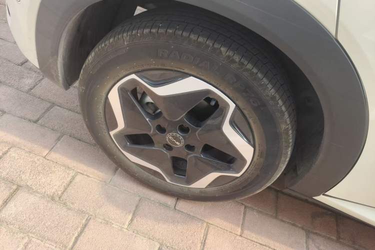 Used BYD Dolphin 2025 Smart Drive Version 420 km Freedom Edition Right Rear Wheel Hub