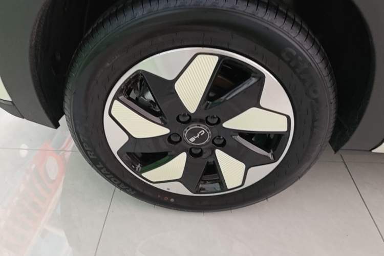 Used BYD Dolphin 2025 420km Free Edition Right Rear Wheel Hub