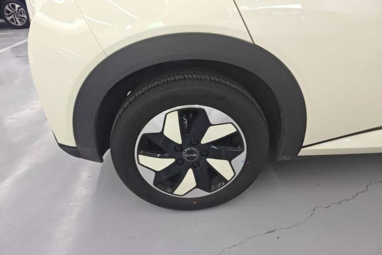 Used BYD Dolphin 2025 420km Free Edition Right Rear Wheel Hub