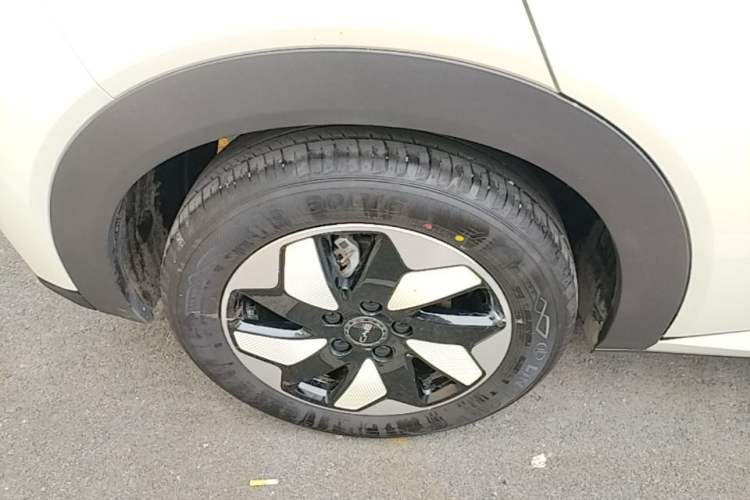 Used BYD Dolphin 2025 420km Free Edition Right Rear Wheel Hub