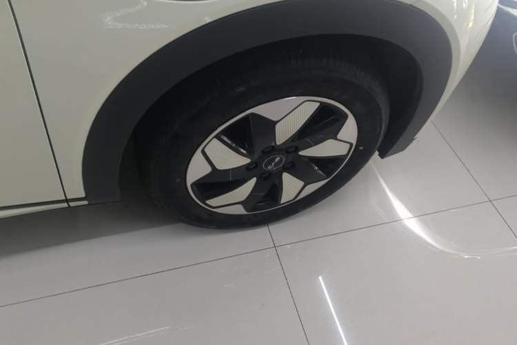Used BYD Dolphin 2025 420km Free Edition Right Rear Wheel Hub