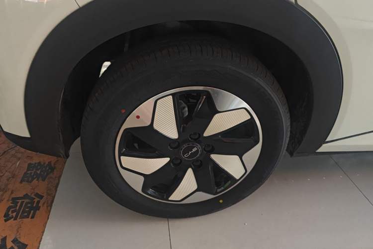 Used BYD Dolphin 2025 420km Free Edition Right Rear Wheel Hub