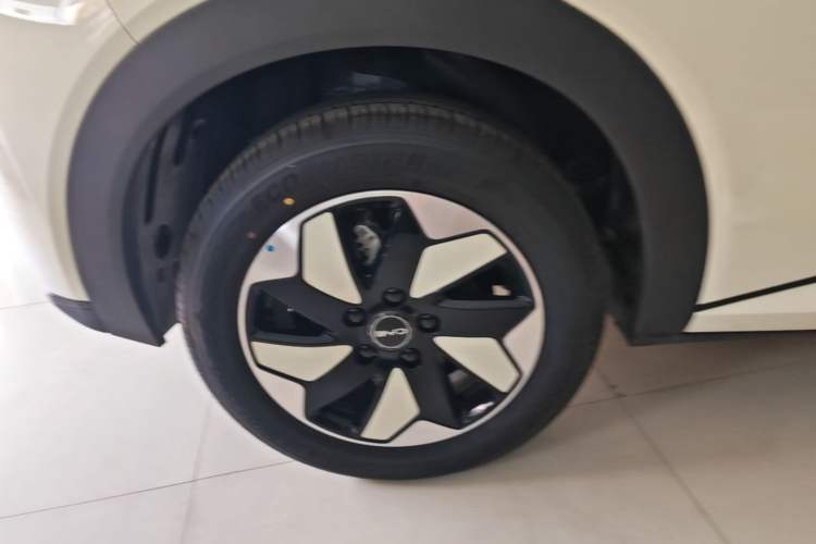 Used BYD Dolphin 2025 420km Free Edition Right Rear Wheel Hub