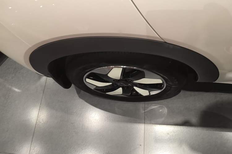Used BYD Dolphin 2025 420km Free Edition Right Rear Wheel Hub