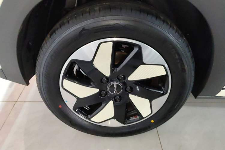 Used BYD Dolphin 2025 420km Free Edition Right Rear Wheel Hub