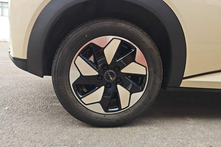 Used BYD Dolphin 2025 420km Free Edition Right Rear Wheel Hub