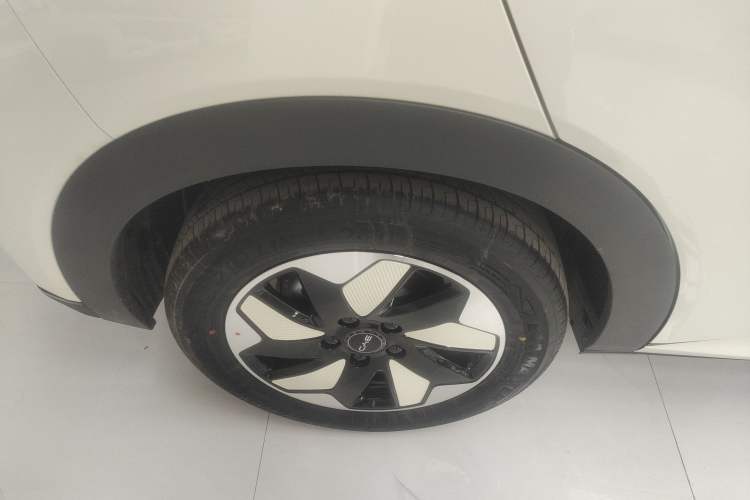 Used BYD Dolphin 2025 420km Free Edition Right Rear Wheel Hub