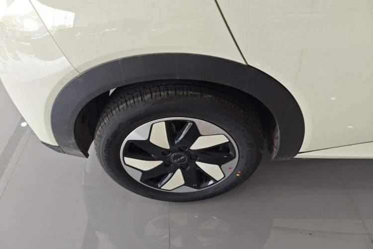 Used BYD Dolphin 2025 420km Free Edition Right Rear Wheel Hub