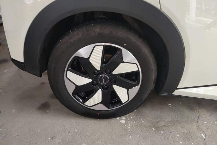 Used BYD Dolphin 2025 420km Free Edition Right Rear Wheel Hub