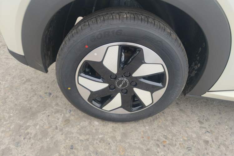 Used BYD Dolphin 2025 420km Free Edition Right Rear Wheel Hub