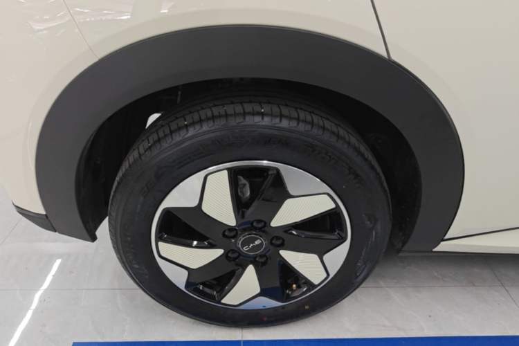 Used BYD Dolphin 2025 420km Free Edition Right Rear Wheel Hub