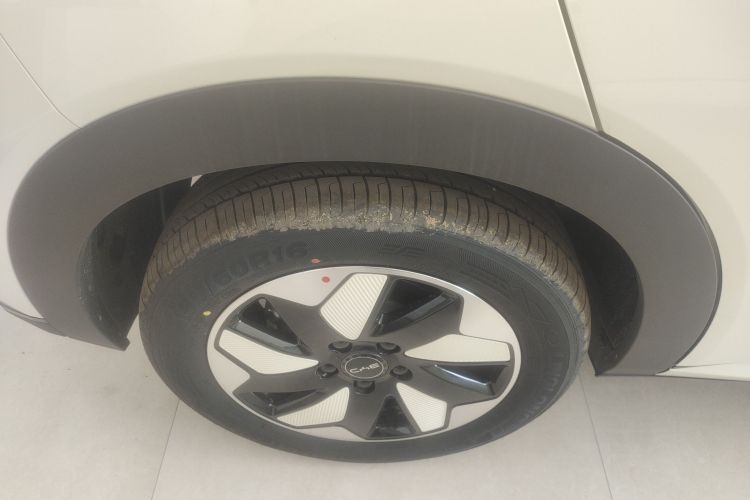 Used BYD Dolphin 2025 420km Free Edition Right Rear Wheel Hub