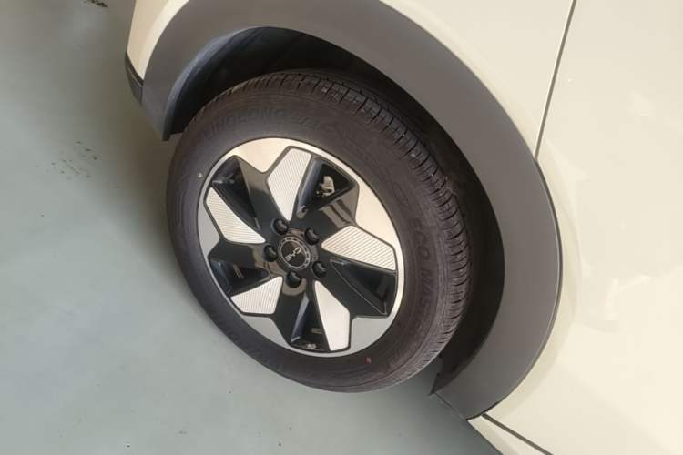 Used BYD Dolphin 2025 420km Free Edition Right Rear Wheel Hub