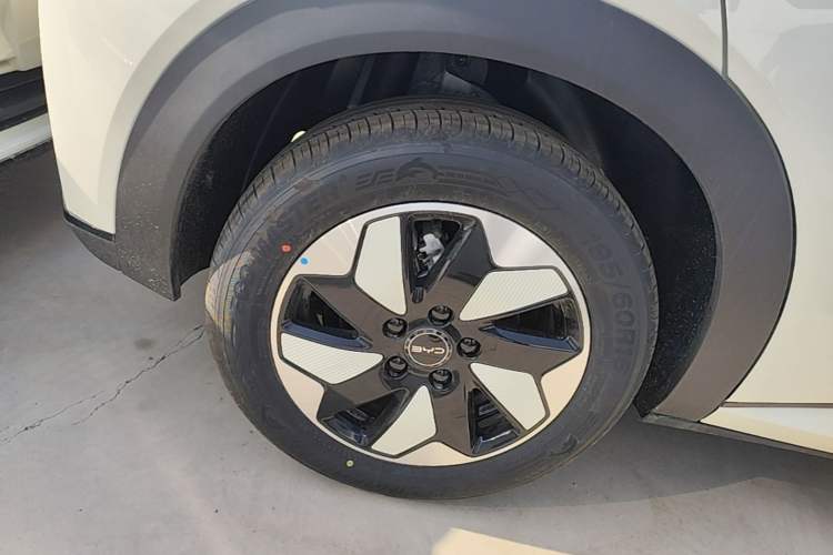 Used BYD Dolphin 2025 420km Free Edition Right Rear Wheel Hub