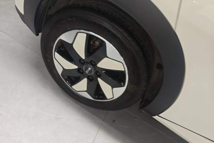 Used BYD Dolphin 2025 420km Fashion Edition Right Rear Wheel Hub