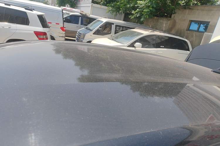 Used BYD Dolphin 2025 420km Free Edition Roof