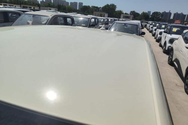 Used BYD Dolphin 2025 420km Free Edition Roof