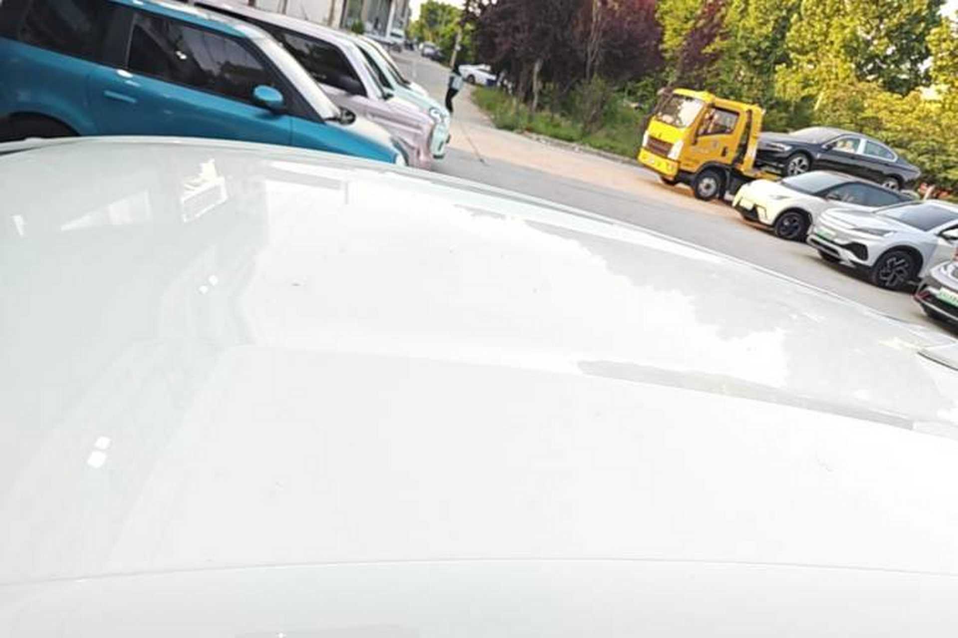 Used BYD Dolphin 2025 Smart Drive Version 420 km Freedom Edition Roof